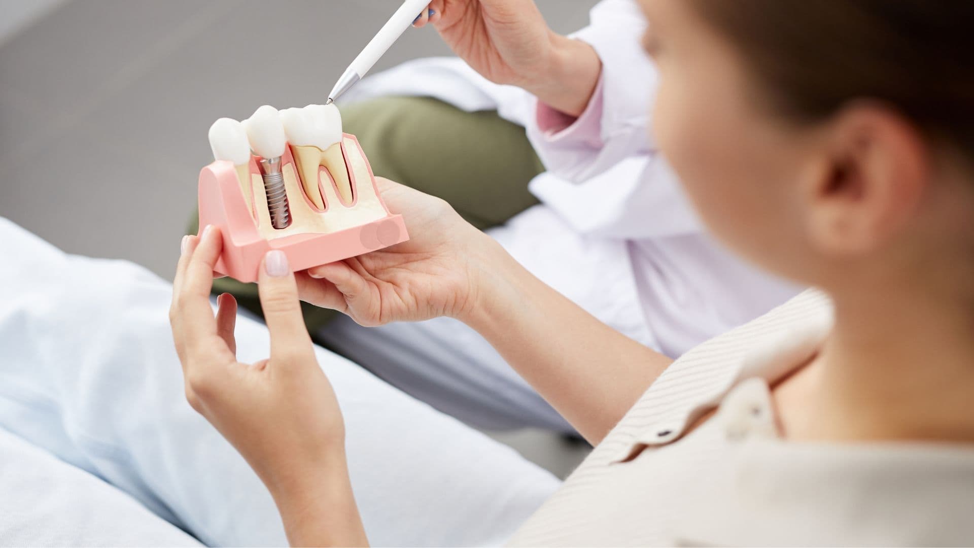 dentysta Toruń